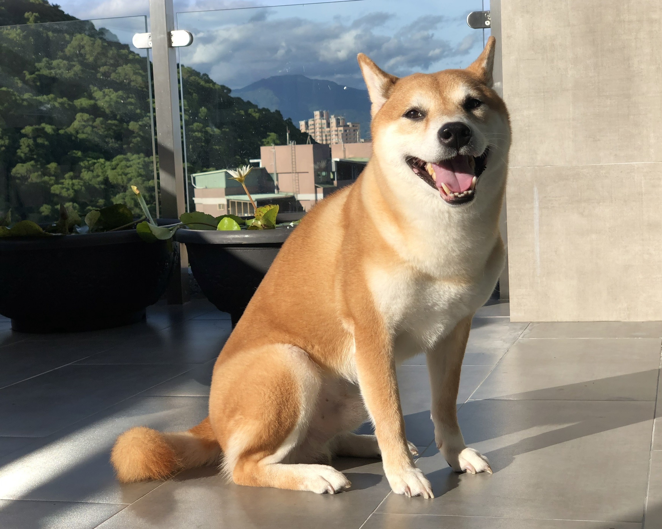 居家地暖生活
